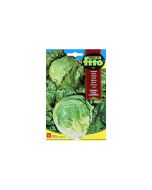 Lettuce - Seeds