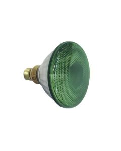 Flood Lamp 80W E27 - Green