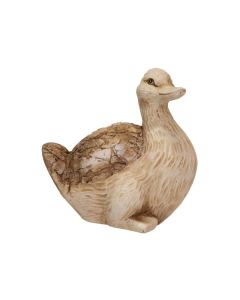 MG Tim Duck Brown
