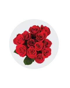 A Dozen of Love - 12 Stems Roses Red