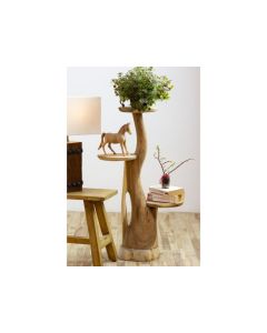 LO Cactus with 3 Plates Natural