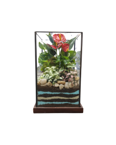 Closed Terrarium Plant Arrangement