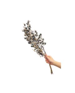 HX Bunch Black Berry White Wash