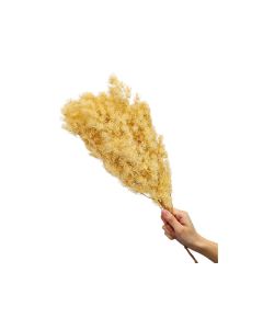 HOF Dry flower Mix