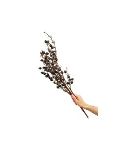 HX Bunch Black Berry Natural