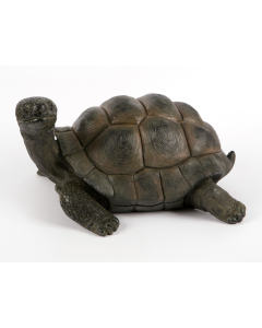 HT Polyresin Tortoise