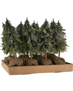 KI Xams Tree in PP Pot Size: 18*18*50cm