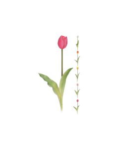 KI Art. Tulip Mini -5 Assorted