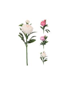 KI Art. 2 Heads Peony