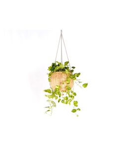 LO Hanging Flower Stand Natural