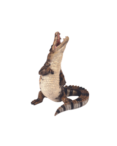 HT Polyresin Standing Crocodile