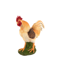 TH Polyresin Standing Cockerel
