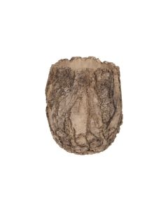DK Bark Pattern Planter