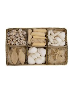 DK Shell Mix in Box