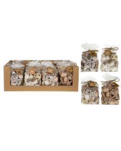 DK Shell Mix Assorted