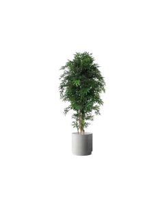 Artificial Aceromaple