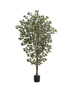 Artificial ficus hawaiian