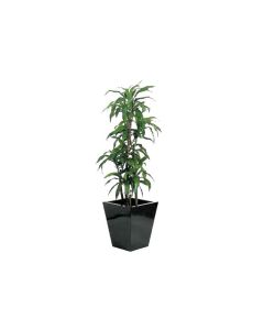 Artificial Dracaena Fragrans