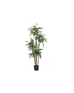 Artificial Dracaena Fragrans Veriegatd