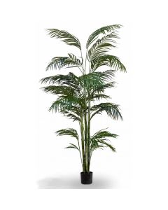 Areca Artificiale Tree-210cm