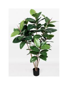 Ficus Artificiale Elastica