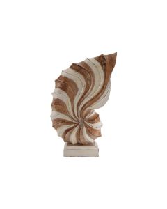 DK Wooden Shell Decor White Wash