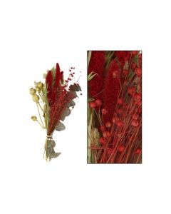 DK Windowbox Christmas Dried Flowers