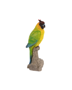 HT Polyresin Parrot