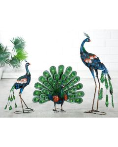 GH Metal Peacock Multicolor