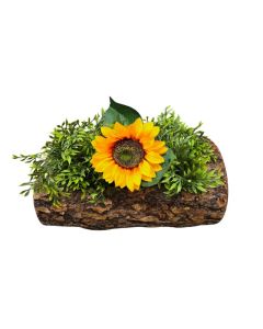 Natural Tree Trunk Planter Box