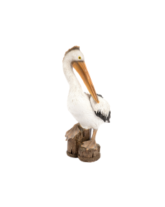 HT Polyresin Perched Pelican
