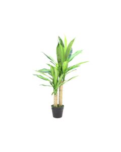 Artificial Dracaena Fragrance