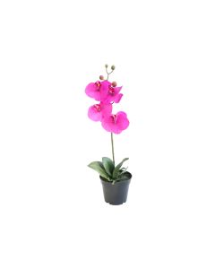 Artificial Phalaenopsis Orchid Pink