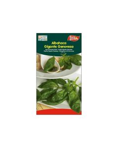 Herb Seeds - Genovese Giant Basil