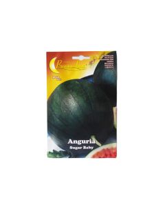 BL Anguria - Sugar Baby Watermelon