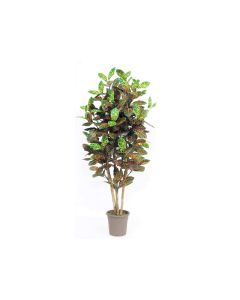 VV Artificial Plant Croton - 175cm