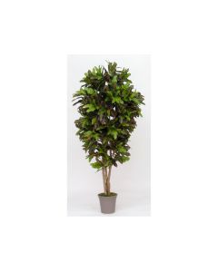 VV Artificial Croton Luxe - H175cm