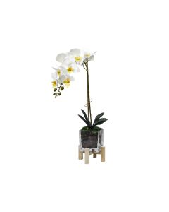 Artificial Phalaenopsis White Orchid in Square Glass Vase