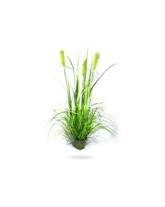 Artificial Reed Grass