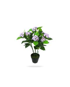 Hydrangea artificial, 60cm h, dw023