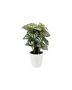 KI Artificial Plant 3 Assorted H23cm
