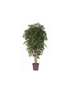VV Artificial Ficus Green - 150 cm