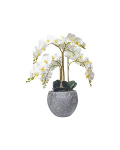 Artificial Phalaenopsis Orchid Big in Pot