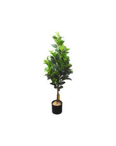 Artificial Plant - Home Decor