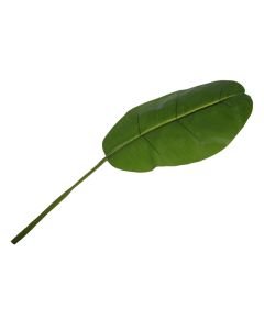 Artificial Banana Leaf L130cm.