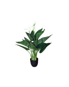 Artificial Plant Calalily