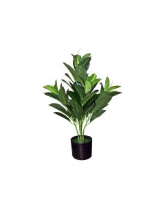Artificial Ficus Robusta Purple Green
