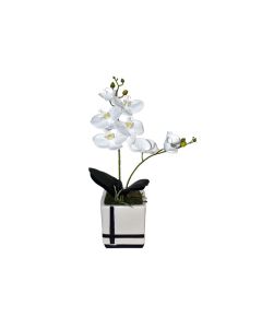 Artificial Orchid in Pot