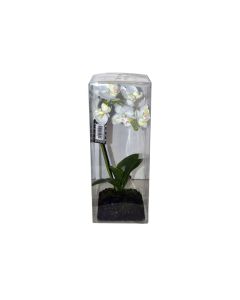Artificial Orchid in plastic wrap