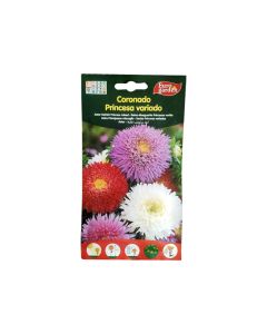 Aster Ostrich Princess Mixed Seeds